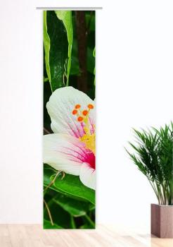 Flächenvorhang Prachtblüte  , Schiebevorhang, Schiebegardine, modern, 60 cm bre